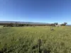 14 Clear View Road, Weeroona Island, SA 5495-Image