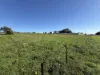14 Clear View Road, Weeroona Island, SA 5495-Image