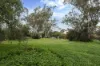 14 Commercial Road, Watervale, SA 5452-Image