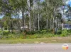 14 Doverton Drive, Russell Island, Qld 4184-Image