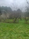 14 Edenvale Crescent, Kinglake West, Vic 3757-Image