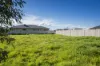 14 Everly Court, Benalla, Vic 3672