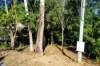 14 First Ridge Road, Smiths Lake, NSW 2428-Image