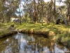 14 Gavour Road, Wattle Grove, WA 6107-Image