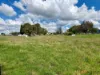 14 Hensleigh Street, Delegate, NSW 2633-Image