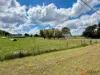 14 Hensleigh Street, Delegate, NSW 2633-Image