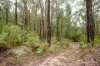 14 Hillcrest Drive, McMahons Creek, Vic 3799-Image