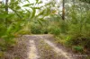 14 Hillcrest Drive, McMahons Creek, Vic 3799-Image