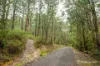 14 Hillcrest Drive, McMahons Creek, Vic 3799-Image