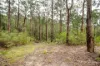 14 Hillcrest Drive, McMahons Creek, Vic 3799-Image