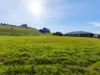 14 Inglisdale Drive, Wynyard, Tas 7325-Image