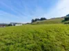 14 Inglisdale Drive, Wynyard, Tas 7325-Image