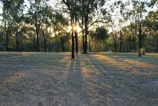 14 Kingfisher Court, Regency Downs, Qld 4341