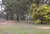 14 Kingfisher Court, Regency Downs, Qld 4341-Image