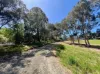 14 Kingscote Drive, Metung, Vic 3904-Image