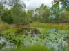 14 Kurrajong Drive, The Palms, Qld 4570-Image