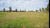 14 Lara Close, Mulwala, NSW 2647-Image
