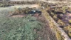 14  Malpas North Road, Malpas, SA 5311-Image