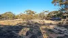 14  Malpas North Road, Malpas, SA 5311-Image
