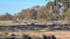 14  Malpas North Road, Malpas, SA 5311-Image