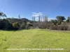 14 River Road, Nundle, NSW 2340-Image