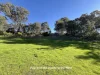 14 River Road, Nundle, NSW 2340-Image