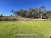 14 River Road, Nundle, NSW 2340-Image