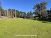 14 River Road, Nundle, NSW 2340-Image