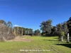 14 River Road, Nundle, NSW 2340-Image