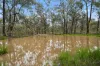 14 Spring Lane, Bailieston, Vic 3608-Image