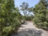 14 Themeda Court, Howrah, Tas 7018-Image