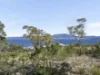 14 Themeda Court, Howrah, Tas 7018-Image