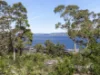 14 Themeda Court, Howrah, Tas 7018-Image