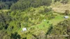 140 Stanger Road, Stony Chute, NSW 2480