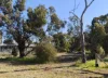 141 Second Avenue, Kendenup, WA 6323-Image