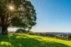 142-144 Carool Road, Bilambil, NSW 2486-Image