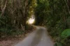 142-144 Carool Road, Bilambil, NSW 2486-Image