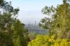142 Tallai Road, Tallai, Qld 4213-Image