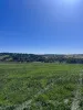 143 Wirrabara-Appila Road, Wirrabara, SA 5481-Image