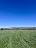 143 Wirrabara-Appila Road, Wirrabara, SA 5481-Image