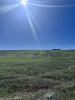 143 Wirrabara-Appila Road, Wirrabara, SA 5481-Image