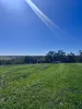 143 Wirrabara-Appila Road, Wirrabara, SA 5481-Image