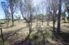 144 Millers Lane, Tenterfield, NSW 2372-Image