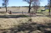 144 Millers Lane, Tenterfield, NSW 2372-Image