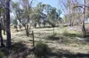 144 Millers Lane, Tenterfield, NSW 2372-Image
