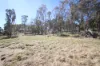 144 Millers Lane, Tenterfield, NSW 2372-Image