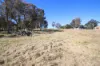 144 Millers Lane, Tenterfield, NSW 2372-Image