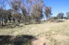 144 Millers Lane, Tenterfield, NSW 2372-Image