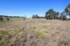 144 Millers Lane, Tenterfield, NSW 2372-Image