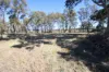 144 Millers Lane, Tenterfield, NSW 2372-Image